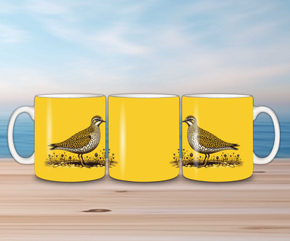 Birds of Iceland