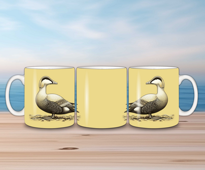 Birds of Iceland