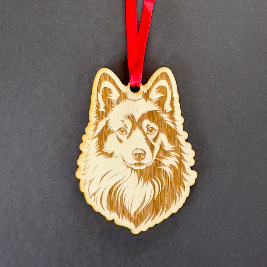 Icelandic Sheepdog