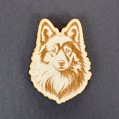 Icelandic Sheepdog