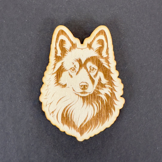 Icelandic Sheepdog